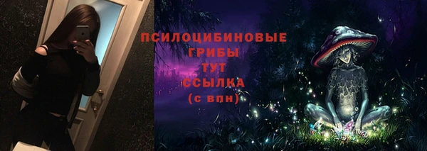 герыч Осинники