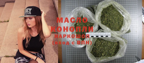 дмт Пестово