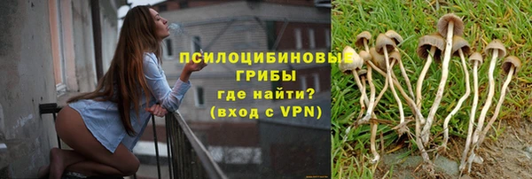 герыч Осинники