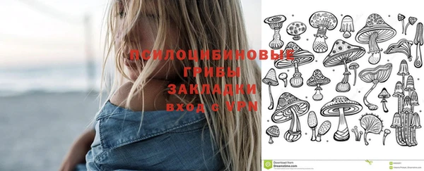прущие крисы Абинск