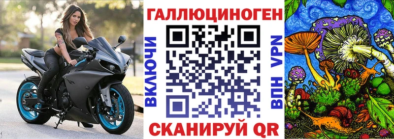 Галлюциногенные грибы Psilocybe  дарнет шоп  нарко площадка клад  Бежецк 